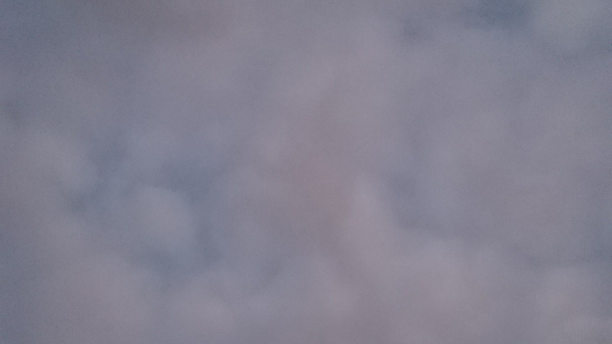 Picsart banner for @had
