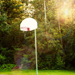 photography basketball summer