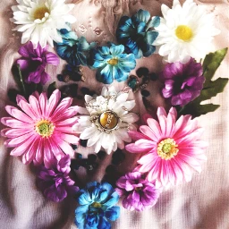 wapflatlay flowers beauty ring colourful